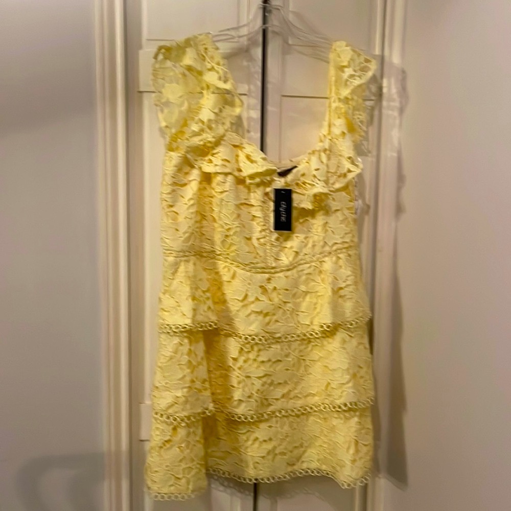 City Chic lace SPRING dress